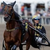 Arkivbild: Björn Goop med hästen San Moteur inför Åby World Grand Prix den 10 augusti 2024 i Mölndal. Foto: Bildbyrån