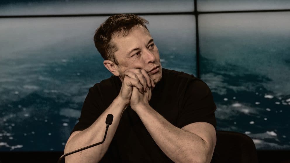 Musk (1)