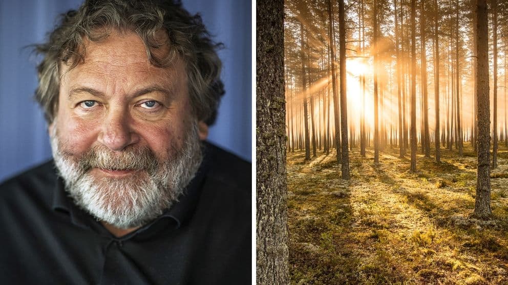 New Waves VD Torsten Jansson, och en bild från Stora Enso. Foto: Bildbyrån/Pressbild