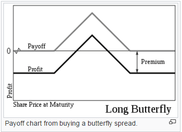 placera-220517BUTTERFLY.png