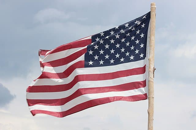 placera-Afv-bilder-Bilder-American_flag_with_wooden_stick_flagpole.jpg