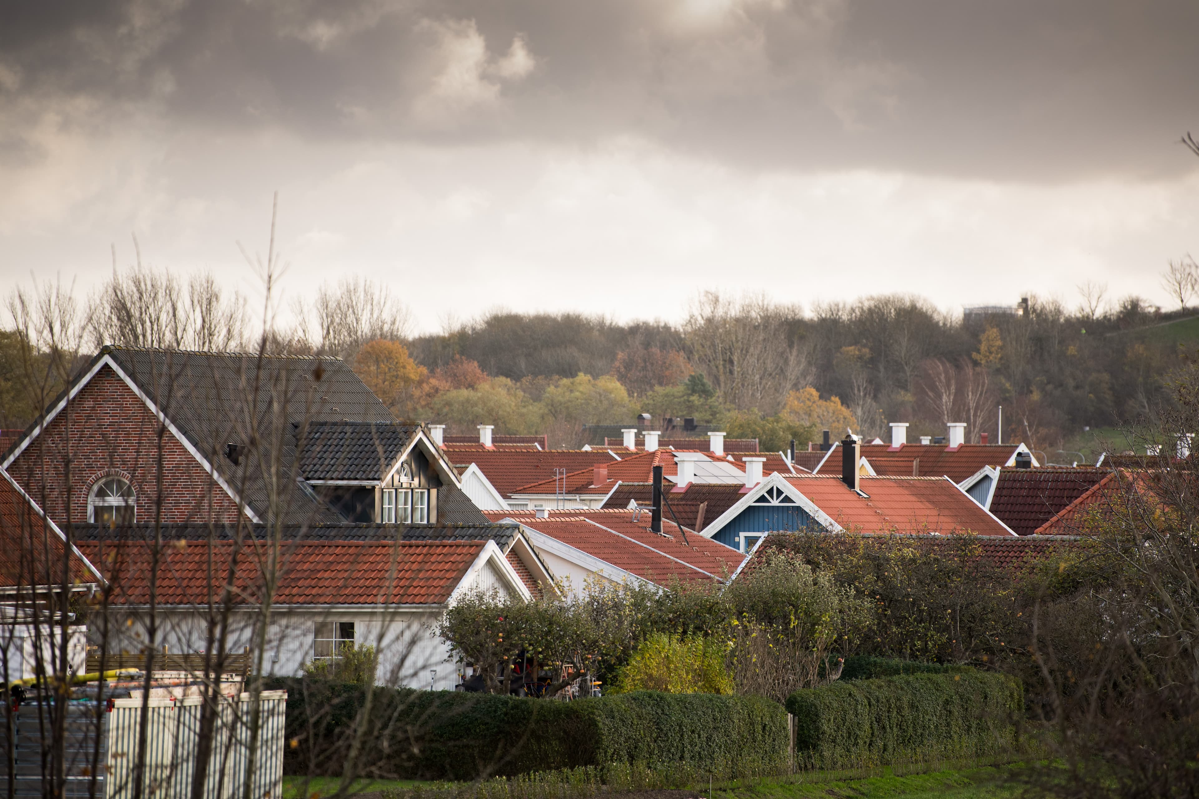 placera-Afv-bilder-Bilder-BB201122PA008.jpg