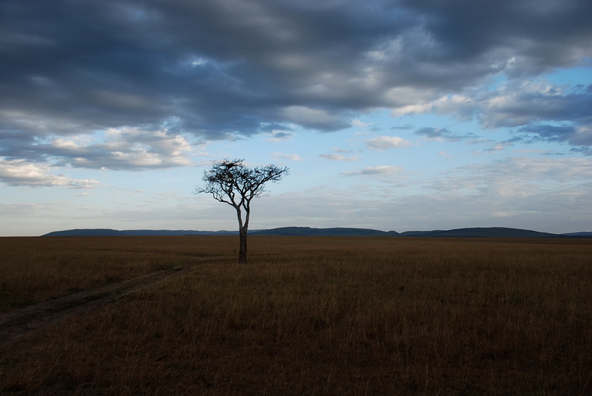 placera-Genrebilder gamla-Afrika 1.JPG