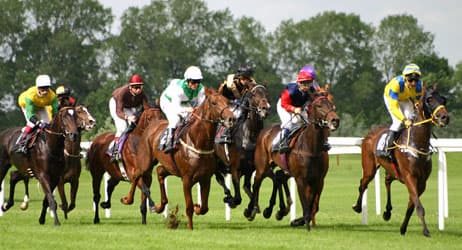 placera-galopp.jpg