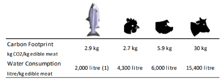placera-nyabilder-131117Carbonfootprint.png