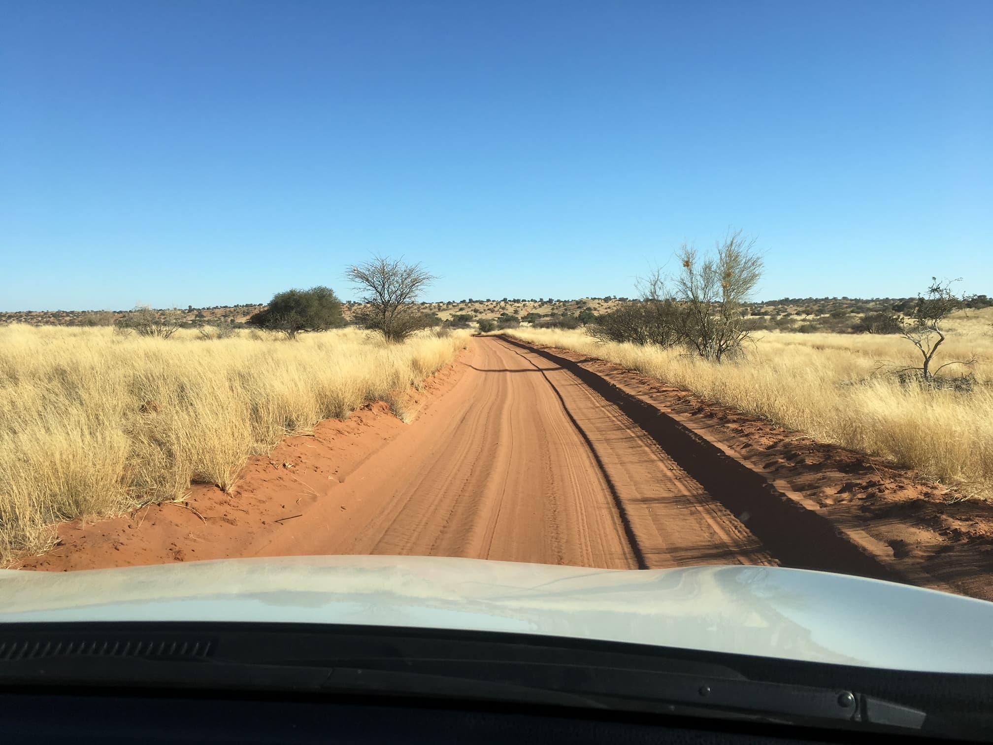 placera-nyabilder-Afrika_Namibia.JPG