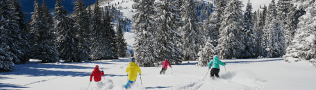 placera-nyabilder-Vail_skidor.PNG