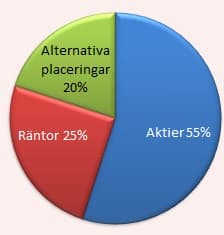 placera-nyabilder-allokering_55_25_20.jpg