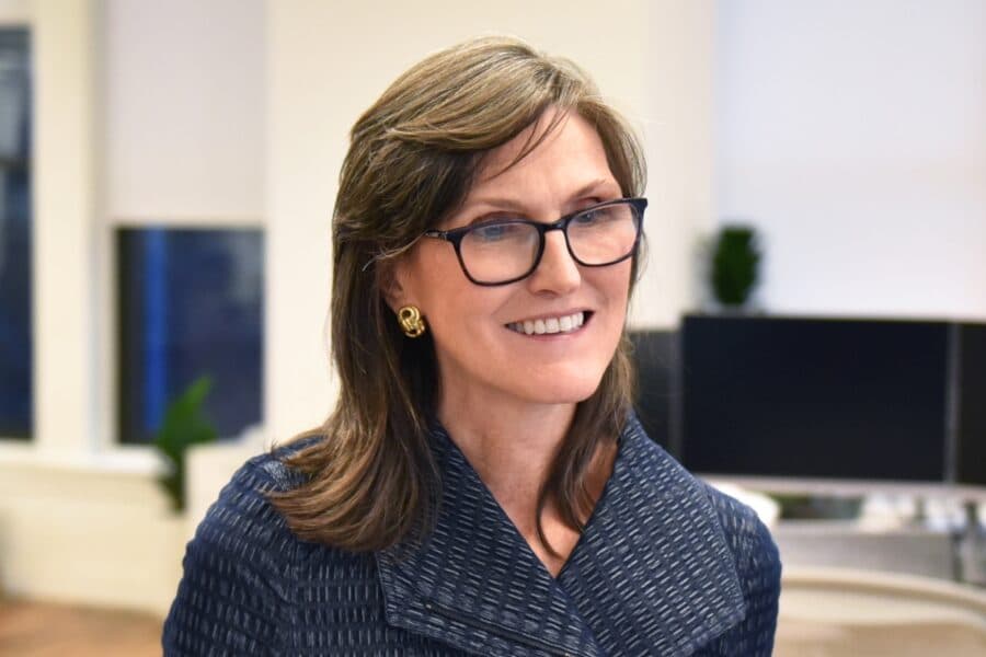 placera-nyabilder-cathie wood.jpg