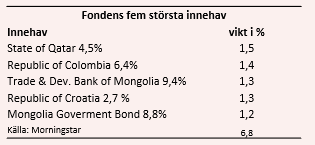 placera-nyabilder-danskeinnehav030519.PNG