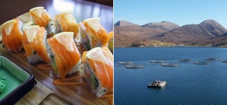 placera-nyabilder-lax_sushi_fiskodling.jpg