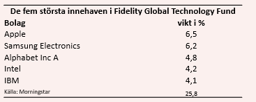 placera-redaktionellt-2018-240519fidelityägande.PNG
