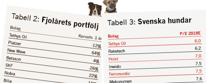placera-redaktionellt-2018-Borsveckanshundar.png