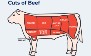 placera-redaktionellt-2018-Foddbeef270319.png