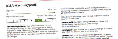 placera-redaktionellt-2020-130121storebrand500.png