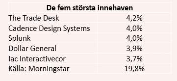 placera-redaktionellt-2020-260820ubsEFägande.PNG