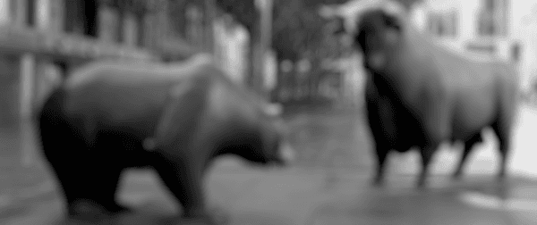 placera-redaktionellt-2020-Bull_bear.PNG