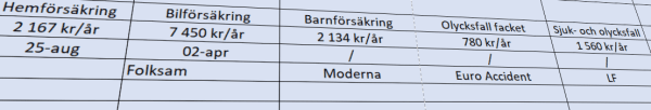 placera-redaktionellt-2020-Försäkringar_excel.PNG