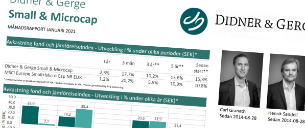 placera-redaktionellt-2020-didnergerge_smallcap_597.png