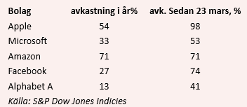 placera-redaktionellt-2020-fangatbell140820.png