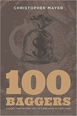 placera-redaktionellt-2021-100baggers_mayer.png