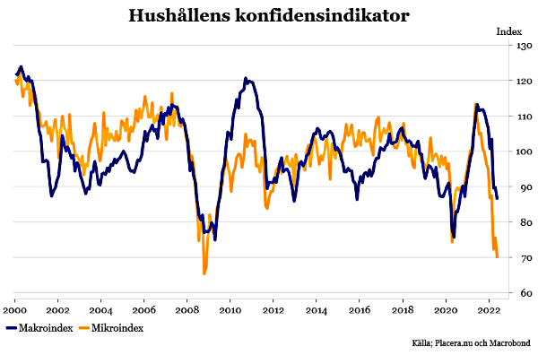 placera-redaktionellt-2021-250522microochmacroindexHIP (002).png