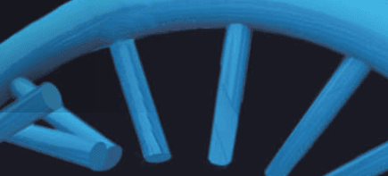 placera-redaktionellt-2021-Maravai_438.png