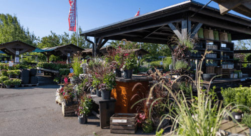 placera-redaktionellt-2021-Plantagen.png