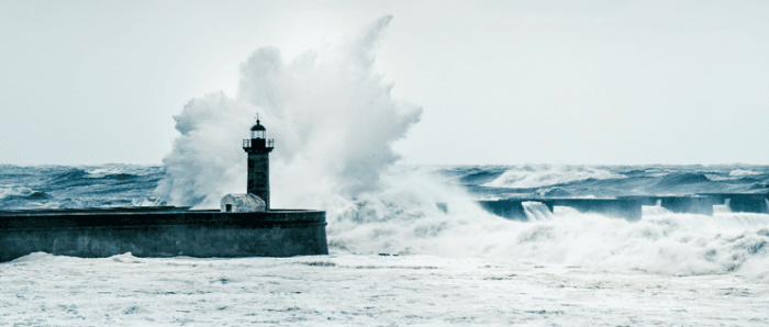 placera-redaktionellt-2021-Storm700.png