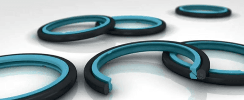 placera-redaktionellt-2021-TSSsealing.png