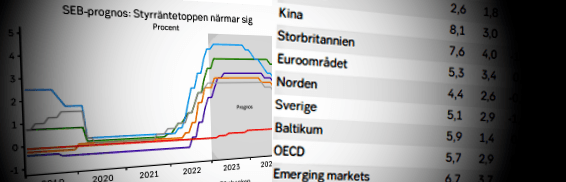 placera-redaktionellt-2021-pk240123.png