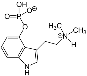 placera-redaktionellt-2021-psilocybin.png
