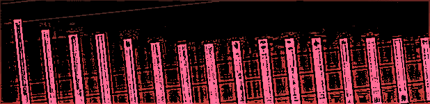 placera-redaktionellt-2021-staplar.png