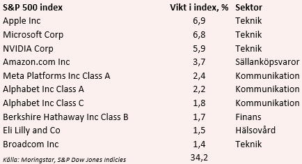 placera-redaktionellt-2023bilder-SP500topp10.PNG