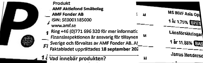 placera-redaktionellt-2023bilder-fondanalys amf småb.PNG