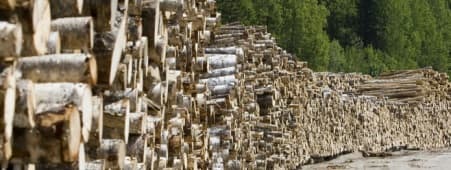 placera-sågverk rörvik bergs skog trävaror rusforest.jpg