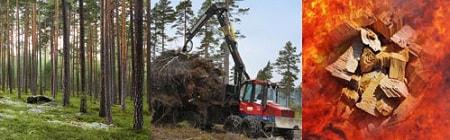 placera-Genrebilder gamla-Stora enso.jpg
