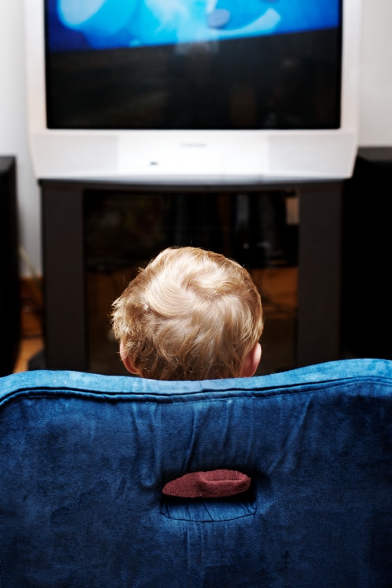 placera-companies-Z-Zodiak Television-zodiak tv barn wildkids.jpg