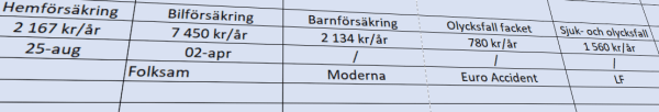 placera-redaktionellt-2020-Försäkringar_excel.PNG