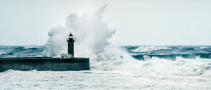 placera-redaktionellt-2021-Storm700.png