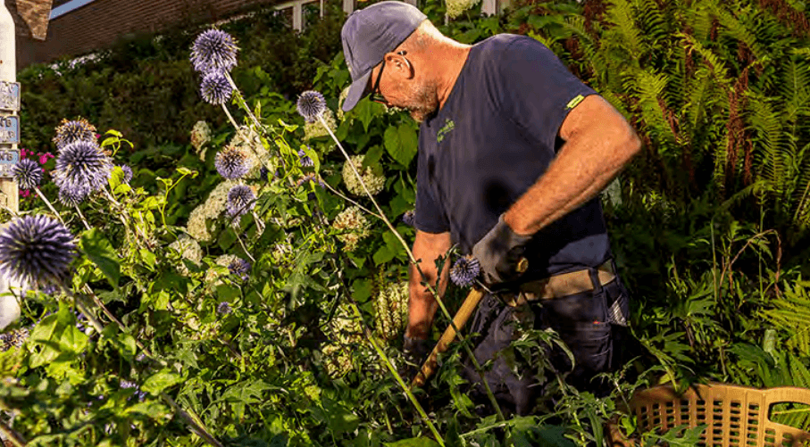 placera-redaktionellt-2023bilder-Green Landscaping 3.PNG