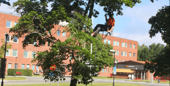 placera-redaktionellt-2023bilder-Green Landscaping2.PNG