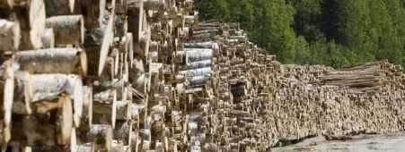 placera-sågverk rörvik bergs skog trävaror rusforest.jpg